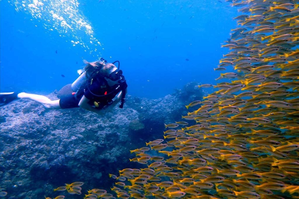 Princess-Divers-Morning-Dive-Trips-Thailand-02