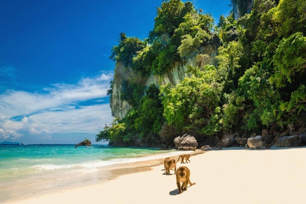 monkey-beach-thailand