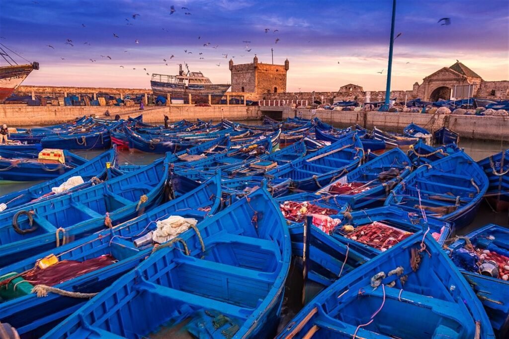 645_Essaouira