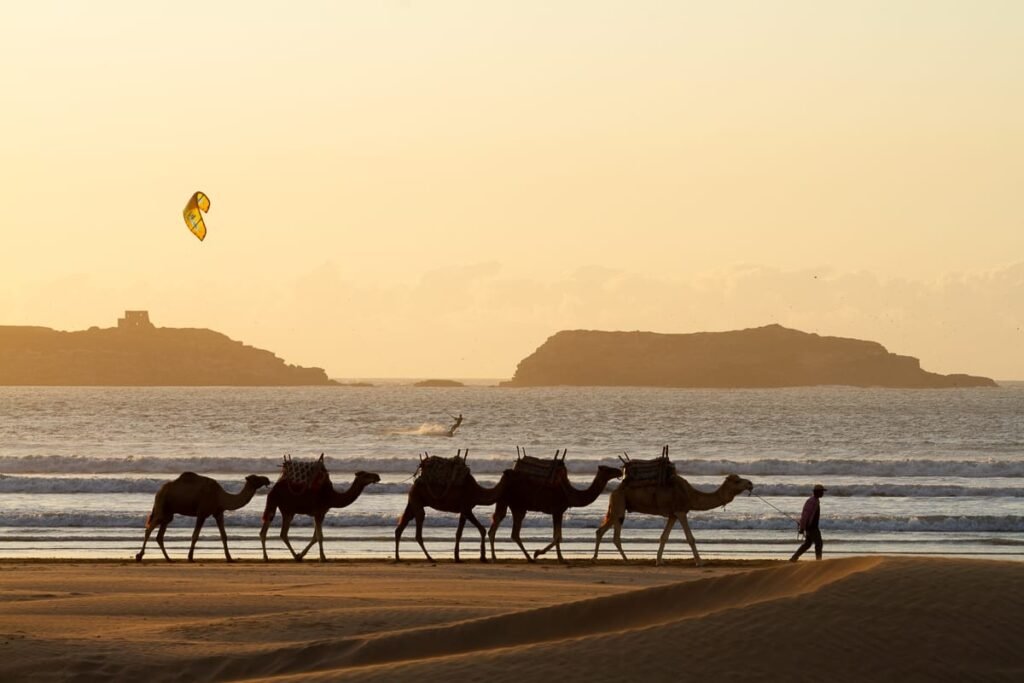 essaouira-travel-blog-cover-image