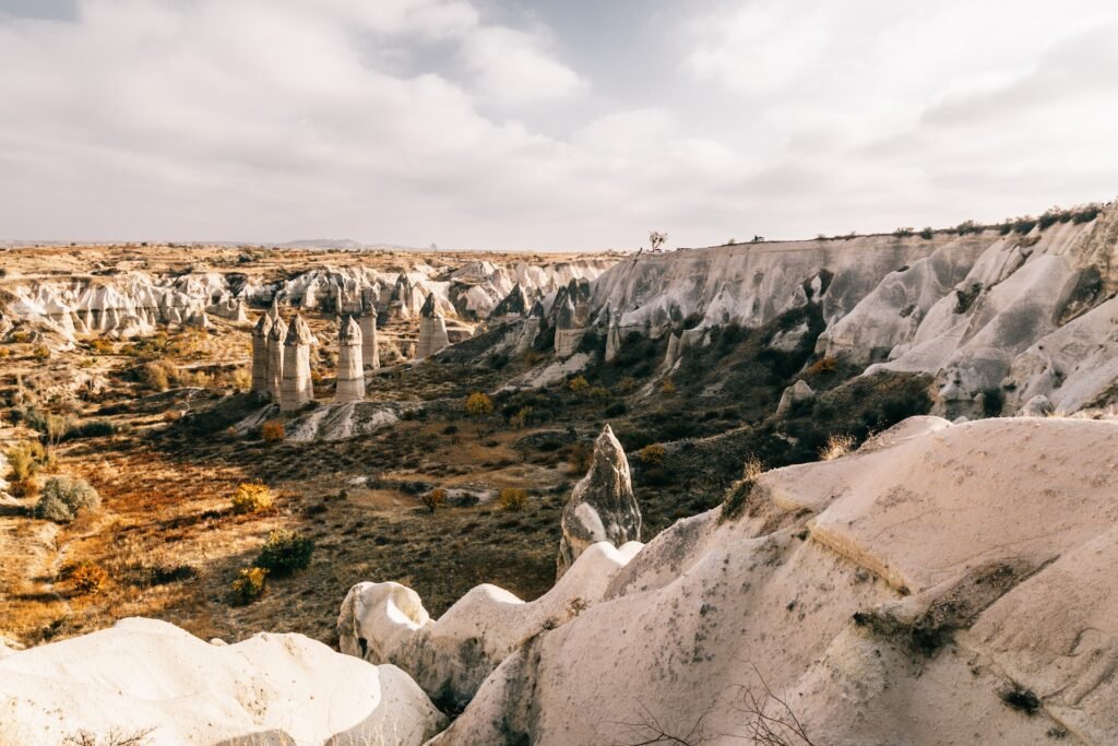 pexels-meruyert-gonullu-6243255