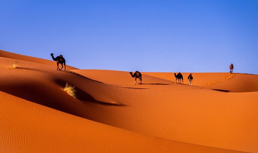 Marruecos: un viaje sensorial por el corazón del Magreb